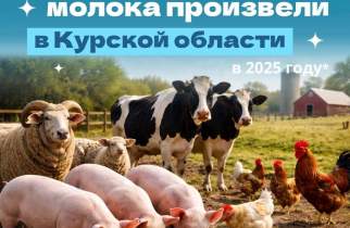 В Курской области в 2025 году произвели 424,3 тыс. тонн молока и 160,7 млн яиц