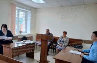 Курского пенсионера осудили за хранение пистолетов, патронов и пороха