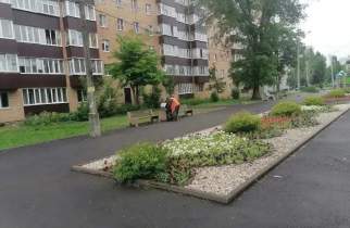 В Курске на Ермошкином озере высадят более 14 тысяч цветов