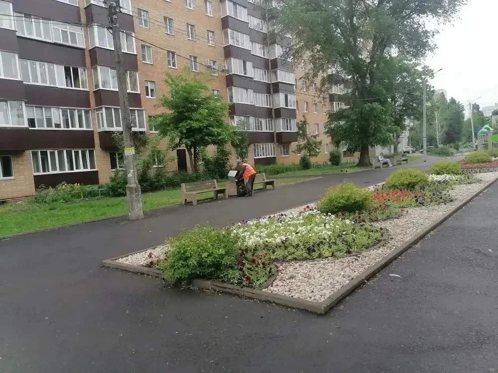 В Курске на Ермошкином озере высадят более 14 тысяч цветов