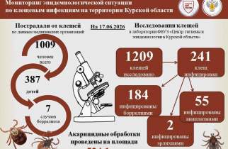 В Курской области количество пострадавших от клещей возросло до 1009