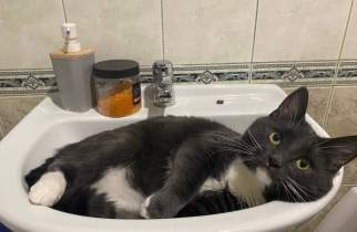 Курянам отключат холодную воду 24 июня из-за срочного ремонта