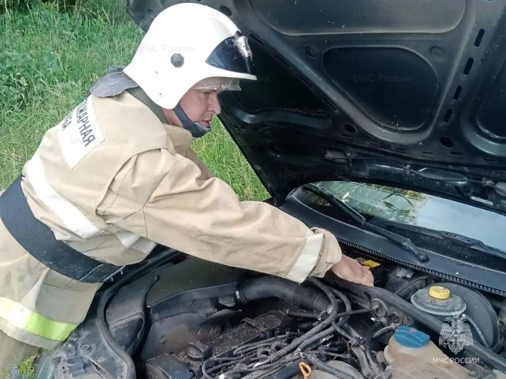 За неделю в Курской области произошло 40 пожаров