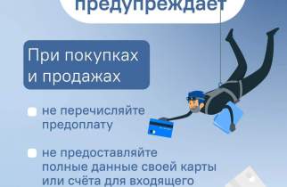 Курянка перевела мошенникам 28 тысяч рублей за садовые качели