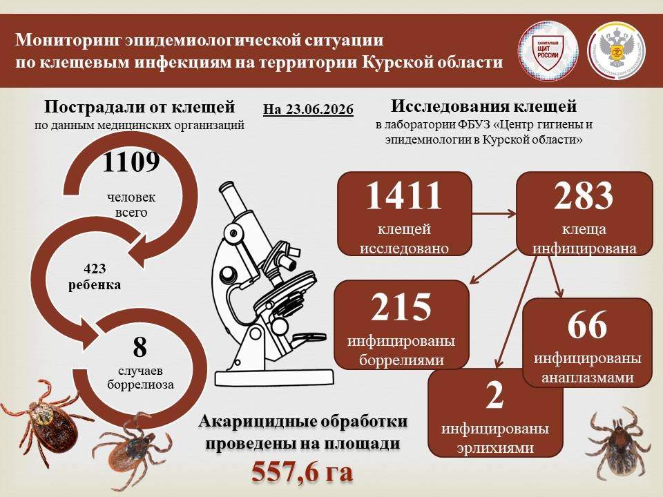 Число пострадавших от укусов клещей в Курской области превысило 1100 человек