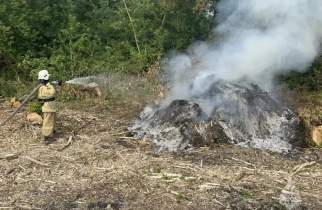 За неделю в Курской области случилось 33 пожара