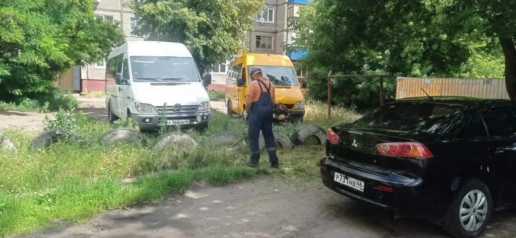 В Сеймском округе Курска скосили траву и продезинфицировали подвалы