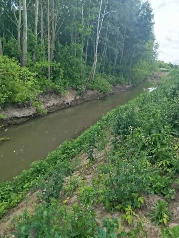 В Курске выгнали подрядчика с расчистки реки Тускарь