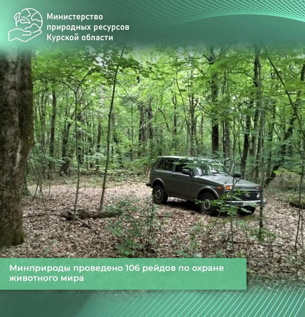 За неделю в Курской области поймали 6 браконьеров