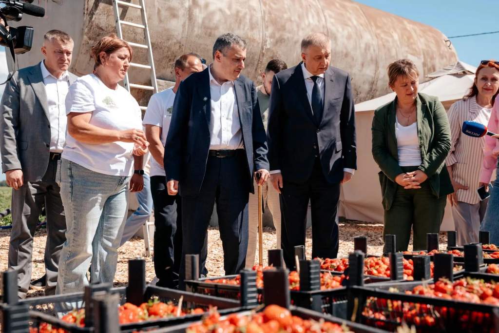 Курские власти помогут фермерам провести газ и свет