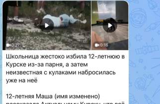 Курская полиция проводит проверку по факту избиения школьницы