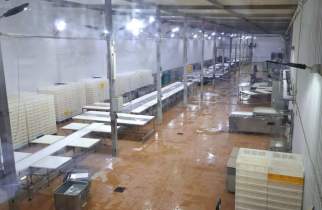 Курский мясокомбинат оштрафовали на 200 тысяч за продукцию без дат