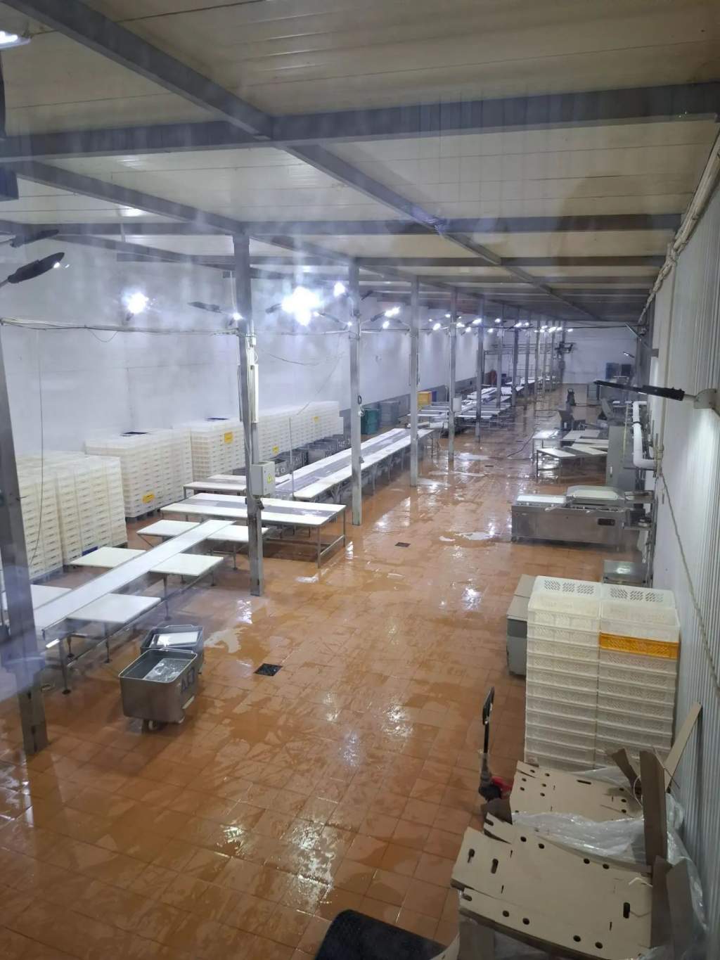 Курский мясокомбинат оштрафовали на 200 тысяч за продукцию без дат