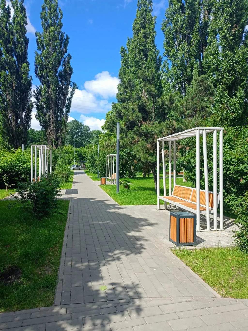 В Курске КСП нашла дефекты и погибшие растения в сквере на Интернациональной