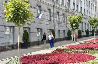 В Курске на улице Ленина высаживают 14 остролистных кленов
