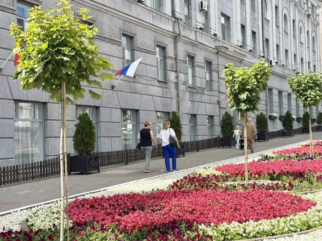 В Курске на улице Ленина высаживают 14 остролистных кленов