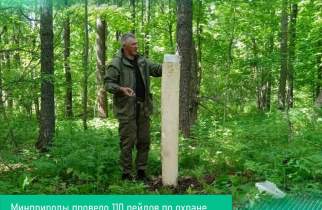 В Курской области за неделю Минприроды провело 110 рейдов