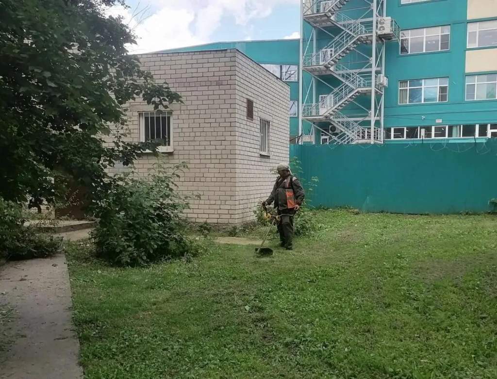 В Курске в парках и скверах скосили больше 12 га травы