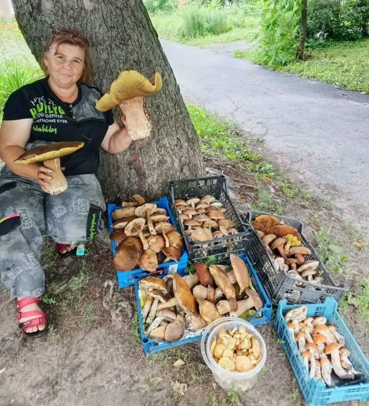 Курянка нашла в лесу гигантский гриб весом почти 1,4 кг
