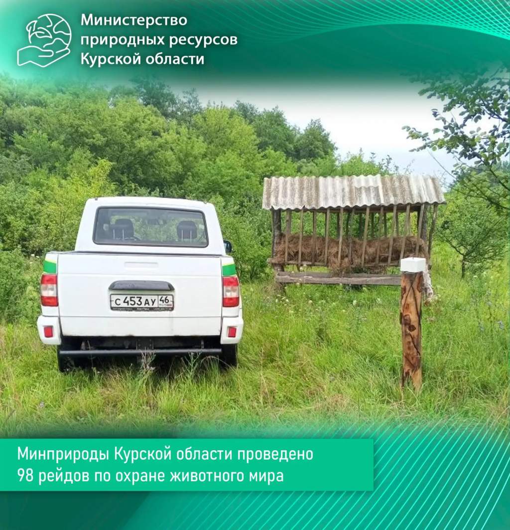 В Курской области поймали браконьеров с сетями на бобров