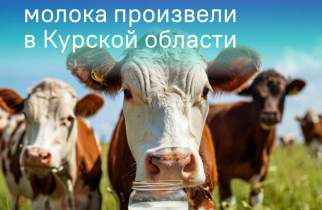 В Курской области за полгода произвели 173,3 тысячи тонн молока