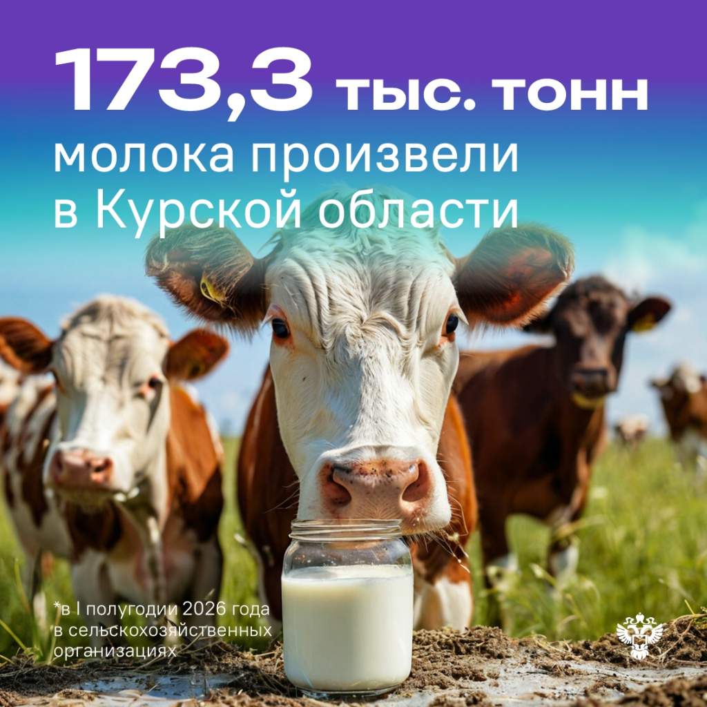 В Курской области за полгода произвели 173,3 тысячи тонн молока
