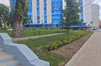 В Курске пропавшую из сквера сирень спасают в теплице