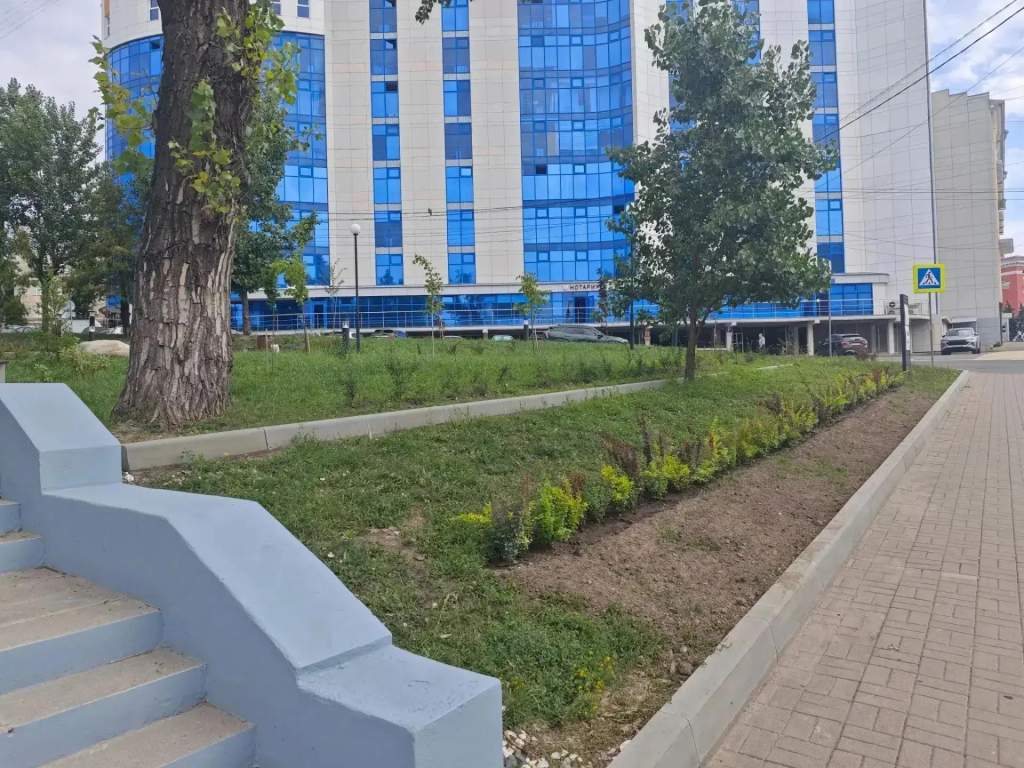 В Курске пропавшую из сквера сирень спасают в теплице