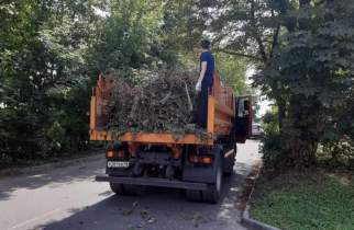 В Курске прошёл субботник: вывезено 20 кубометров мусора