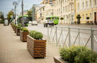 Более 200 кустов хризантем украсят главную улицу Курска к осени