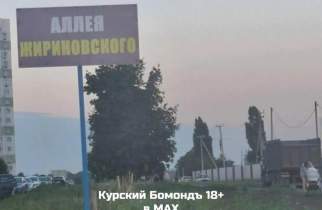 В Курске засыхает заросшая бурьяном аллея Жириновского
