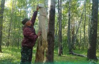 В лесах Курской области провели 107 природоохранных рейдов