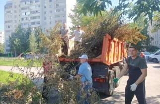 В Курске чиновники очистили Железнодорожный округ от веток