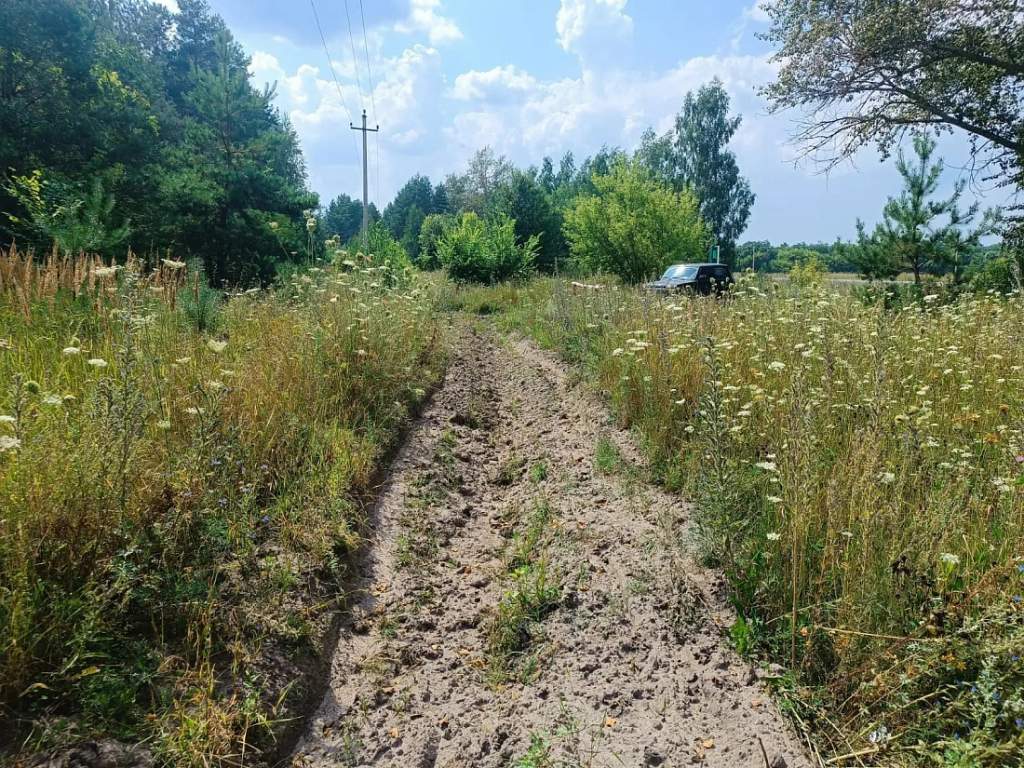 В лесах Курской области действует 3-й класс пожарной опасности