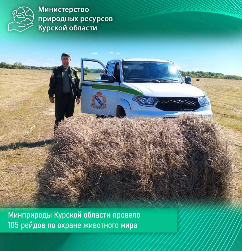 Минприроды Курской области провело 105 рейдов по охране животного мира
