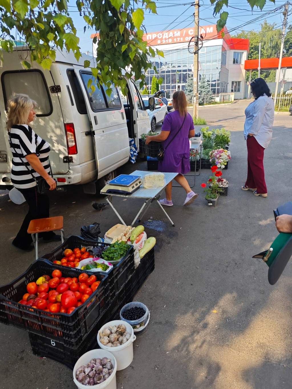 В Курске пресекли несанкционированную торговлю продукцией на 10 адресах