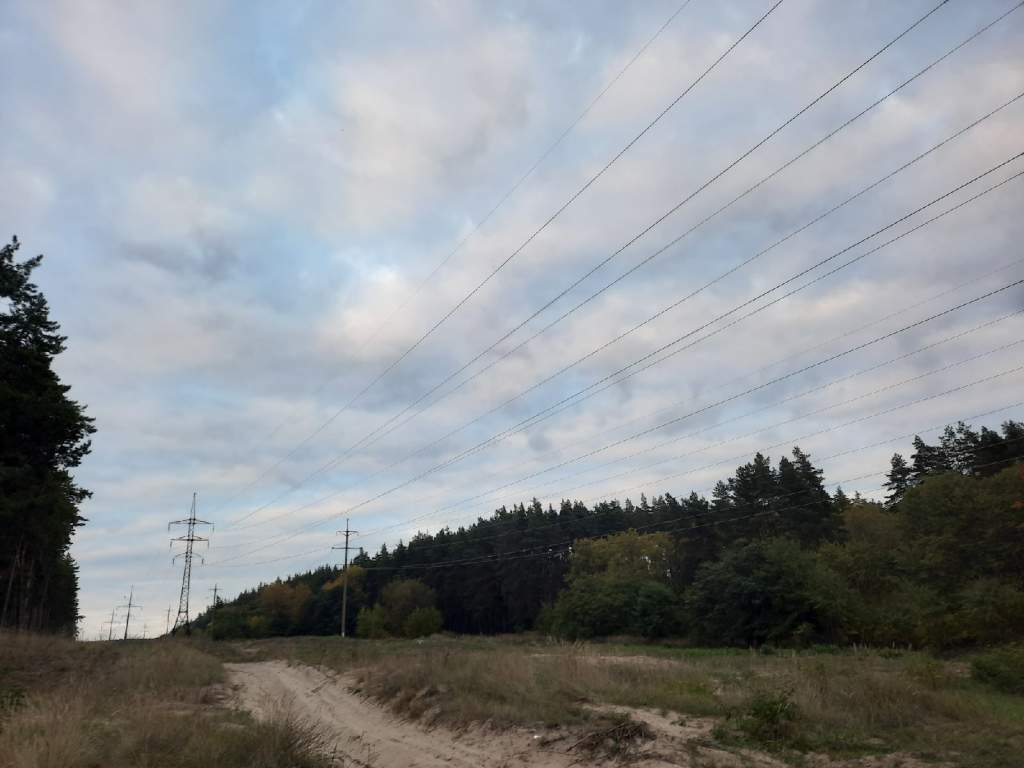 Куряне автоматически получат в собственность дороги и сети СНТ