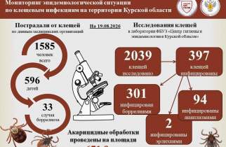 В Курской области выявлено уже 33 случая боррелиоза