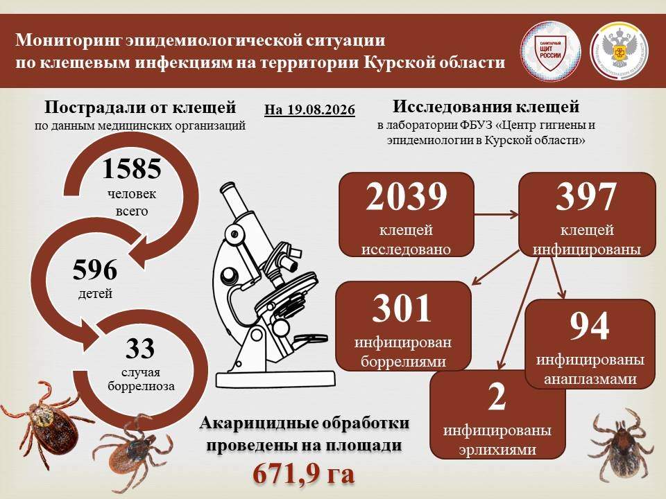 В Курской области выявлено уже 33 случая боррелиоза