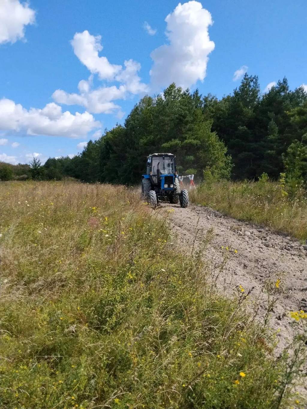 В курских лесах усилили патрули из-за высокой опасности пожаров