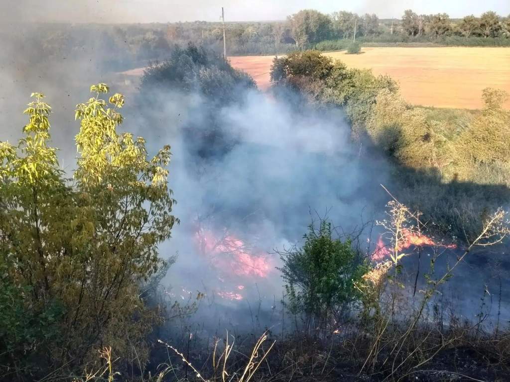 В Курской области добровольцы помогли потушить горящую траву