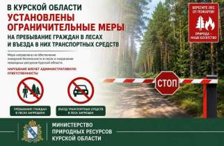 В Курской области ввели ограничения на посещение лесов
