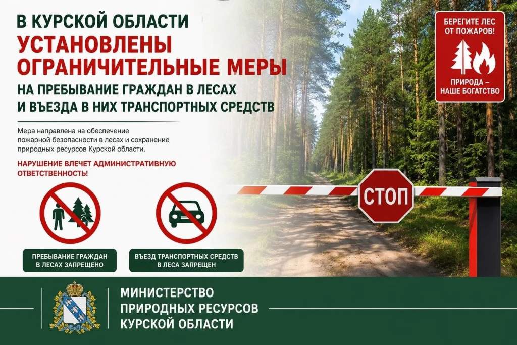 В Курской области ввели ограничения на посещение лесов