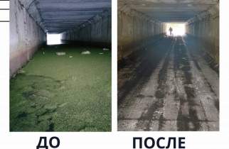 Подземный переход под Курском оказался скотопрогоном