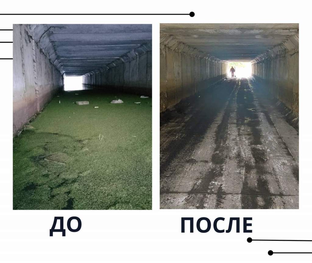 Подземный переход под Курском оказался скотопрогоном