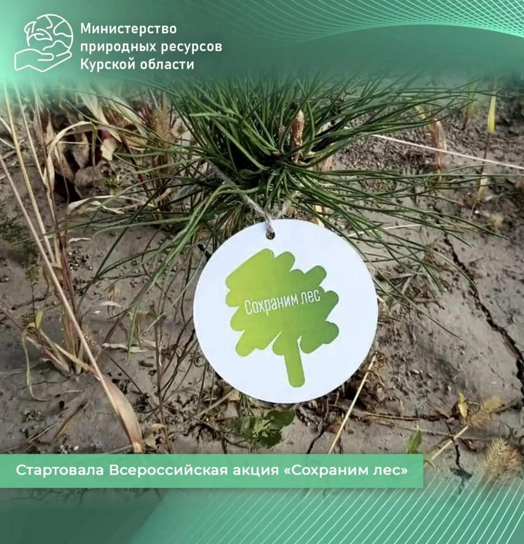 В Курской области акцию «Сохраним лес» проведут в октябре и ноябре