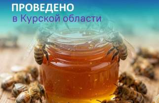 В Курской области за квартал провели 66 ярмарок на 4345 торговых мест