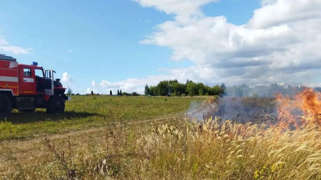 В Золотухинском районе за день дважды тушили горящую сухую траву