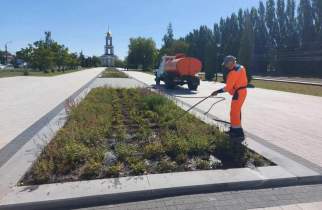В Курске в парке Патриот высадят новые деревья и пересадят клены