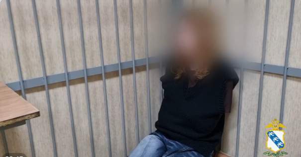 Полиция схватила мурманчанку-курьера с миллионами курской пенсионерки